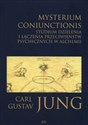 Misterium coniunctionis Studium dzielenia i łączenia przeciwieństw psychicznych w alchemii polish books in canada