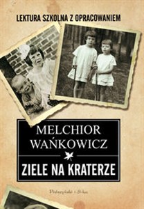 Ziele na kraterze Lektura szkolna z opracowaniem Bookshop