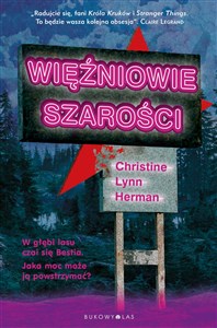 Więźniowie szarości books in polish