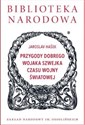 Przygody dobrego wojaka Szwejka czasu wojny światowej 