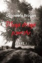 Długa droga powrotu T.1 online polish bookstore