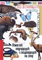 Encyklopedia Na ścieżkach wiedzy. 100 stworzeń migrujących i zasypiających na zimę buy polish books in Usa