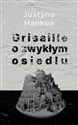 Grisaille o zwykłym osiedlu - Polish Bookstore USA