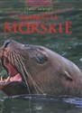 Świat zwierząt Zwierzęta morskie  Canada Bookstore
