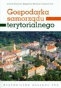 Gospodarka samorządu terytorialnego polish usa