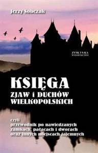 Księga zjaw i duchów Wielkopolskich czyli przewodnik po nawiedzonych zamkach, pałacach i dworach oraz innych miejscach tajemniczych  