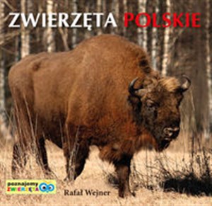 Poznajemy zwierzęta: Zwierzęta Polskie books in polish
