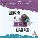 CD MP3 Wiedźmy w opałach 