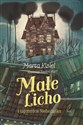 Małe Licho i tajemnica Niebożątka - Polish Bookstore USA