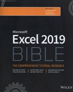 Excel 2019 Bible in polish