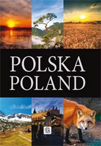 Polska Poland books in polish