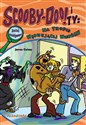 Scooby-Doo! i Ty Na tropie Wędrującej Wiedźmy Tom 8 buy polish books in Usa