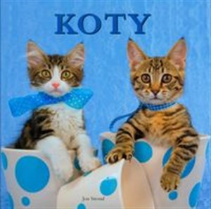 Koty online polish bookstore