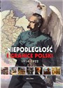 Niepodległość i granice Polski 1914-1922 buy polish books in Usa