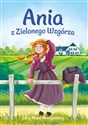 Ania z Zielonego Wzgórza chicago polish bookstore