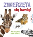 Zwierzęta się bawią in polish