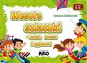 Wesołe szlaczki buźki, kreski i zygzaczki wiek 5-6 lat polish usa