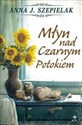 Młyn nad Czarnym Potokiem  