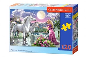 Puzzle Princess and her Unicorns 120  