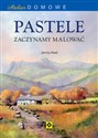 Atelier domowe Pastele Zaczynamy malować Bookshop