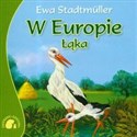 Zwierzaki-Dzieciaki W Europie Łąka books in polish