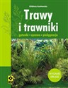 Trawy i trawniki - Elżbieta Kozłowska to buy in Canada