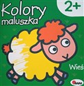 Kolory maluszka Wieś polish books in canada