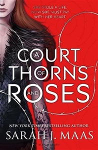 A Court of Thorns and Roses online polish bookstore