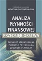 Analiza płynności finansowej przedsiębiorstwa Płynność strukturalna, płynność potencjalna, zdolność płatnicza - Polish Bookstore USA