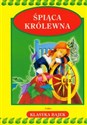 Śpiąca królewna online polish bookstore