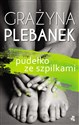 Pudełko ze szpilkami Polish Books Canada