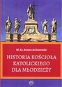 Historia Kościoła Katolickiego dla młodzieży/Prohibita - Roman Archutowski buy polish books in Usa