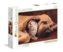 Puzzle Cuddles 500 - 