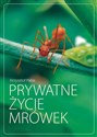 Prywatne życie mrówek  