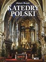 Katedry Polski pl online bookstore