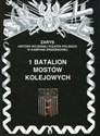 1 Batalion mostów kolejowych Zarys historii wojennej pułków polskich w kampanii wrześniowej buy polish books in Usa