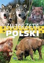 Zwierzęta Polski bookstore