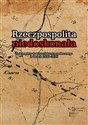 Rzeczpospolita niedoskonała Dokumenty do historii buntu społecznego w latach 1930-1935 in polish