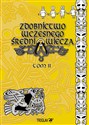 Zdobnictwo wczesnego średniowiecza Tom 2 - Igor D. Górewicz