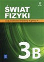 Świat fizyki 3B Zeszyt przedmiotowo-ćwiczeniowy Gimnazjum books in polish