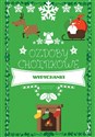 Ozdoby świąteczne Ozdoby choinkowe Polish Books Canada