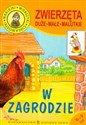 Zwierzęta duże małe malutkie W zagrodzie polish books in canada