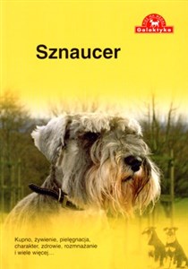 Sznaucer  