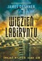 Więzień Labiryntu. Więzień Labiryntu. Tom 1 wyd. 2023  - Polish Bookstore USA