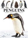 Penguins  Polish Books Canada