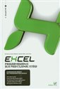 Excel Programowanie dla profesjonalistów polish books in canada