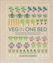 Veg in One Bed - Huw Richards chicago polish bookstore