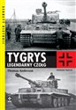 Tygrys Legendarny czołg. books in polish