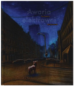Awaria elektrowni Polish Books Canada