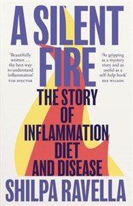 A Silent Fire  